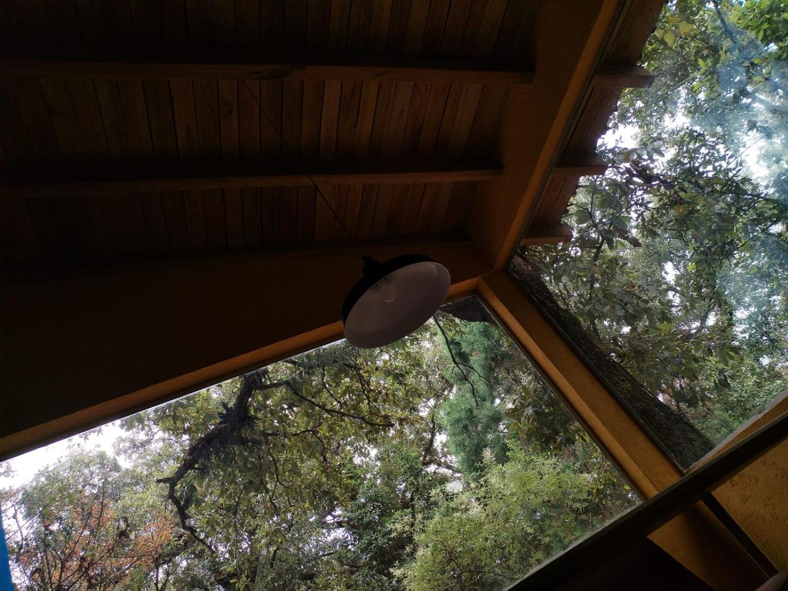 La Cabana Azul Al Fondo Del Bosque De Tepoztlán Exteriér fotografie